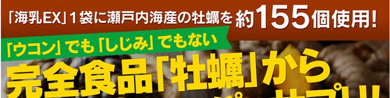 �C��EX���T�C�g